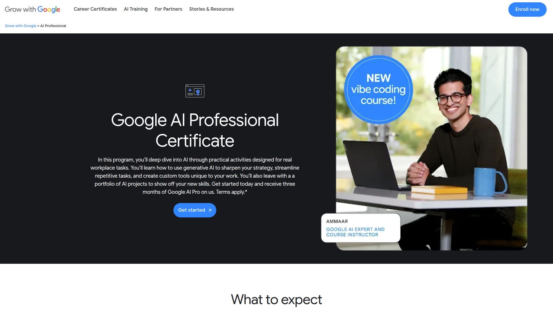 Google AI Professional Certificate screenshot