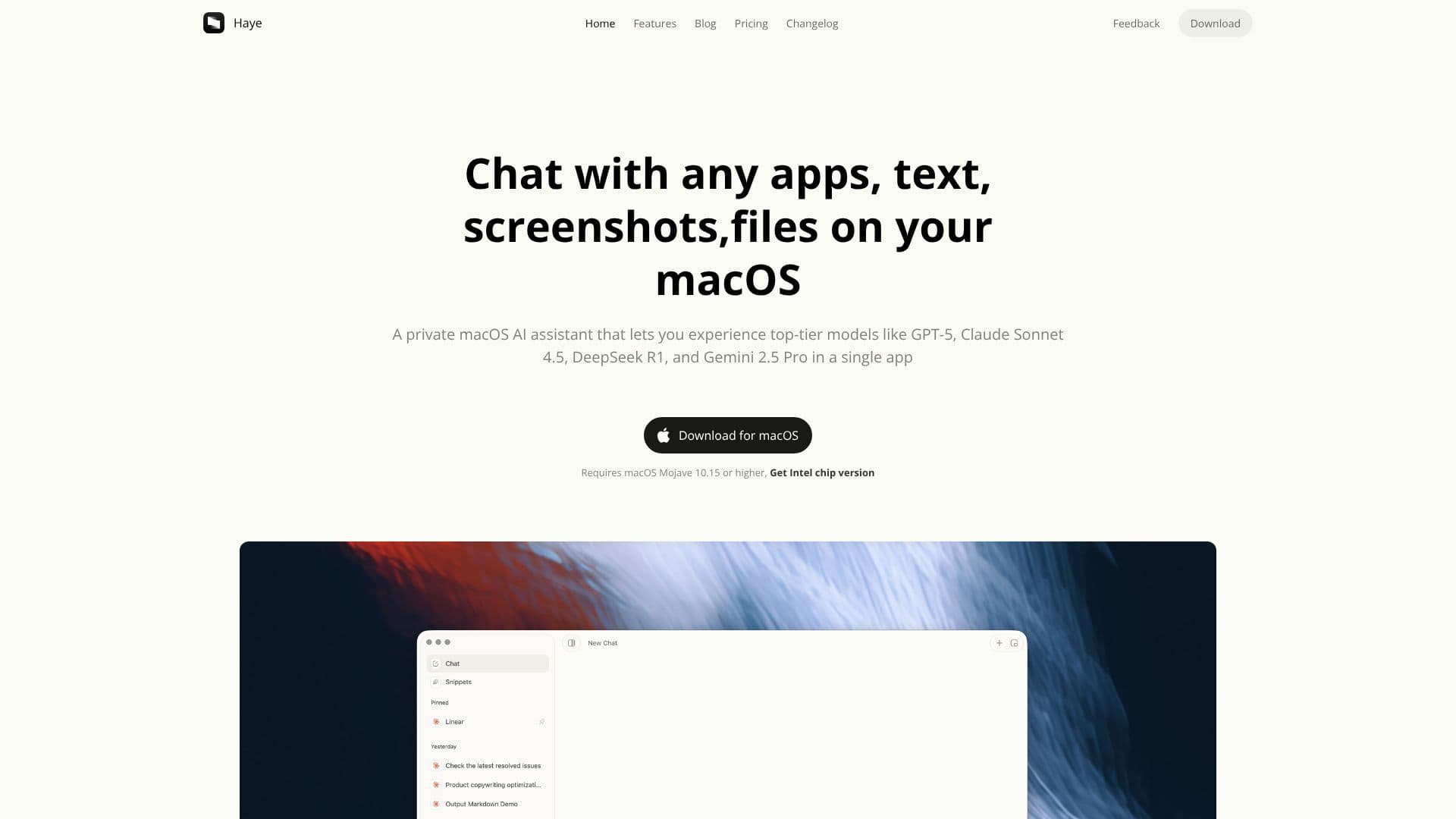 Haye AI Chat Assistant screenshot