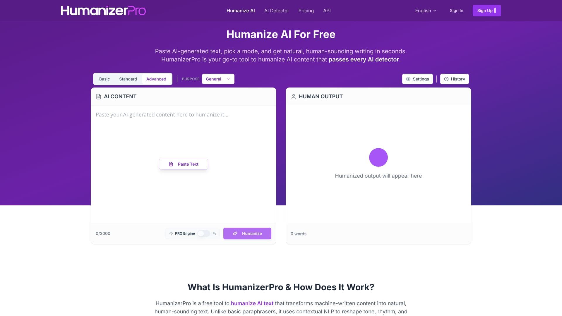 Captura de pantalla de HumanizerPro: AI Text Humanizer