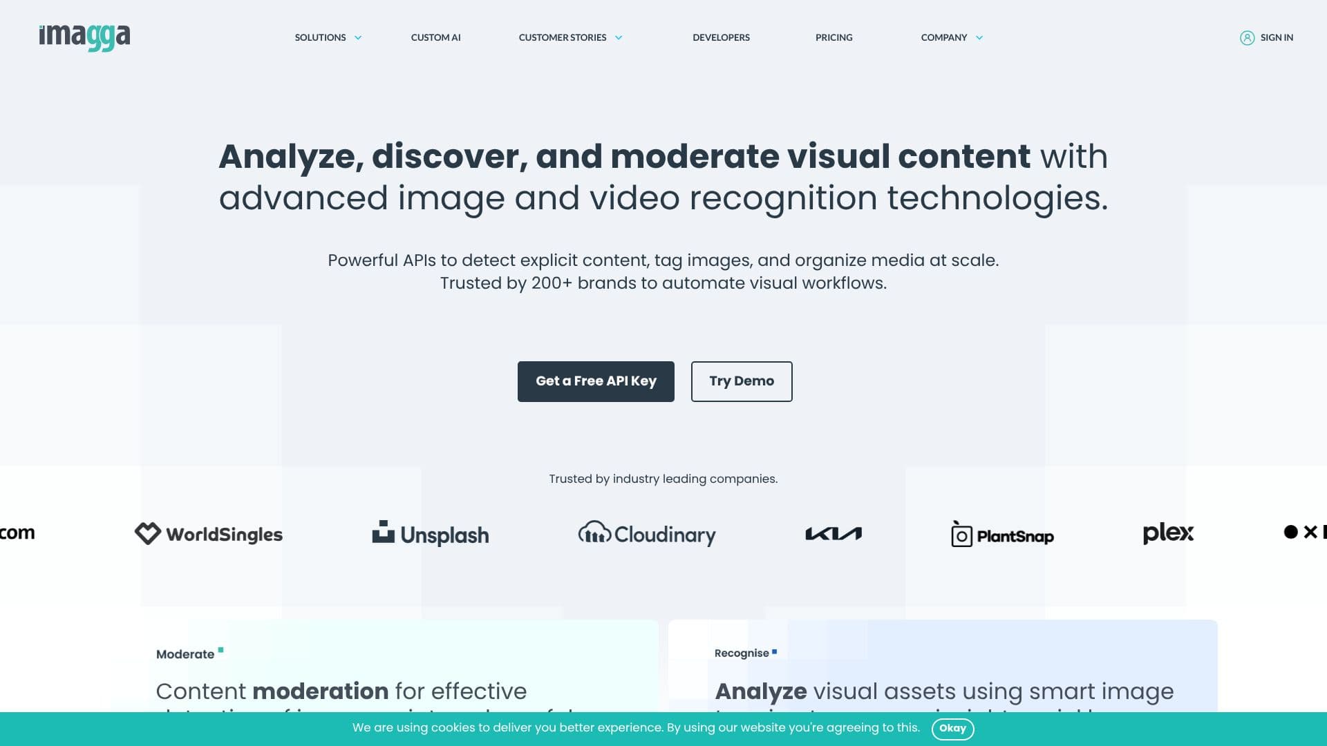 Imagga 画像&動画認識API のスクリーンショット
