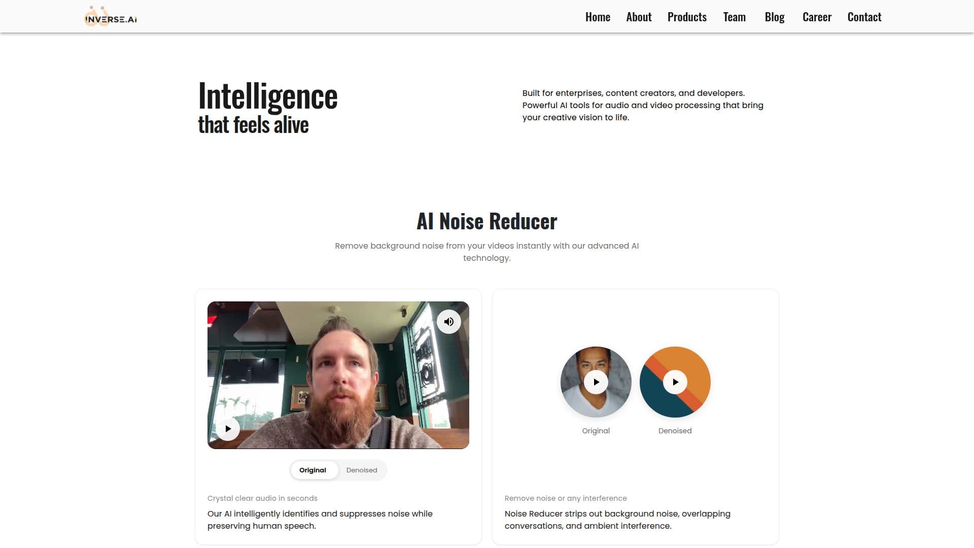 Inverse.AI Audio Video Noise Reducer screenshot