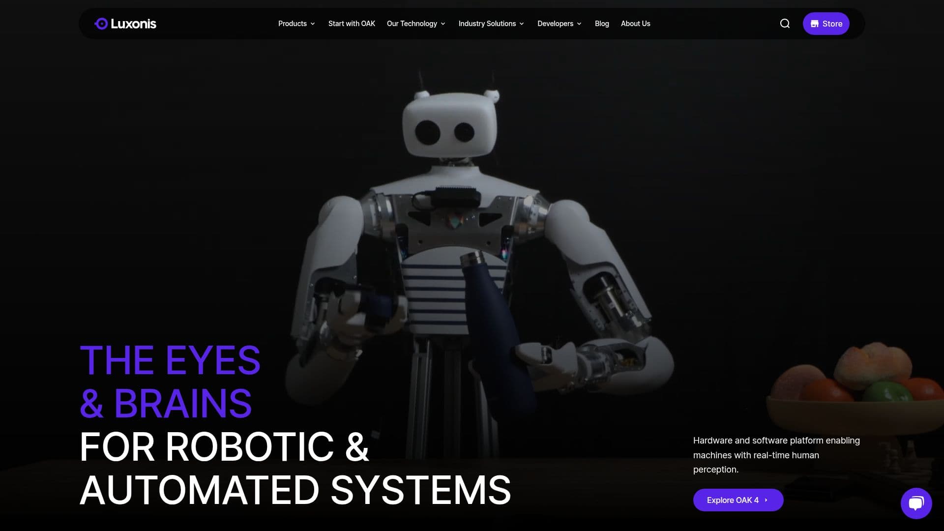 Systèmes de Vision AI Luxonis screenshot