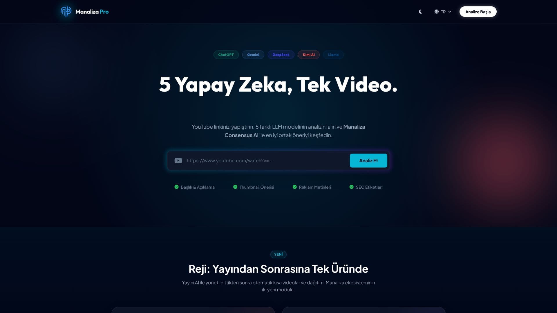 Screenshot von Manaliza Pro