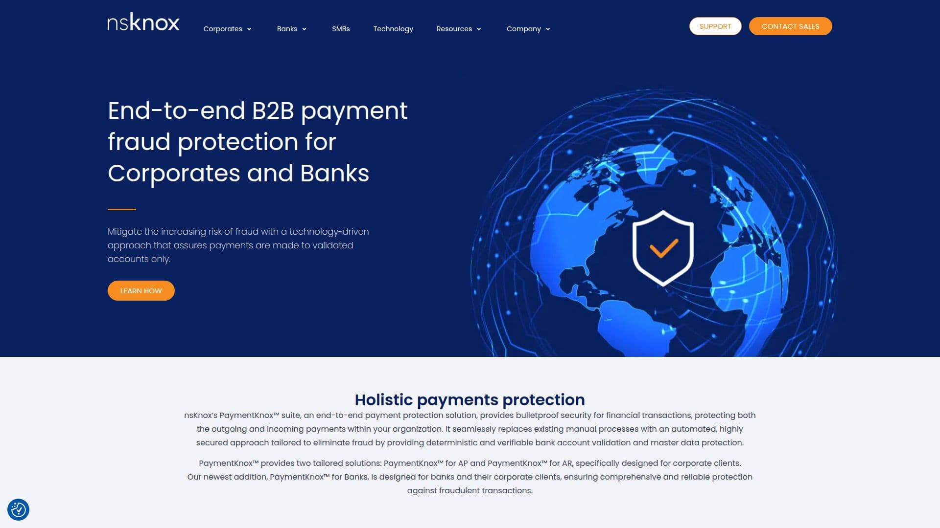 nsKnox Corporate Payments Fraud Prevention screenshot