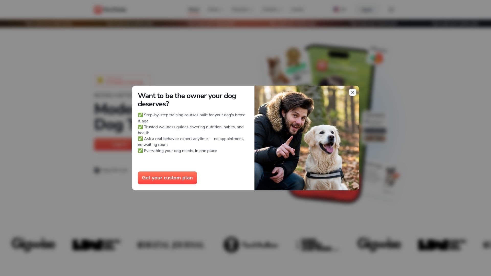 Screenshot von PawChamp