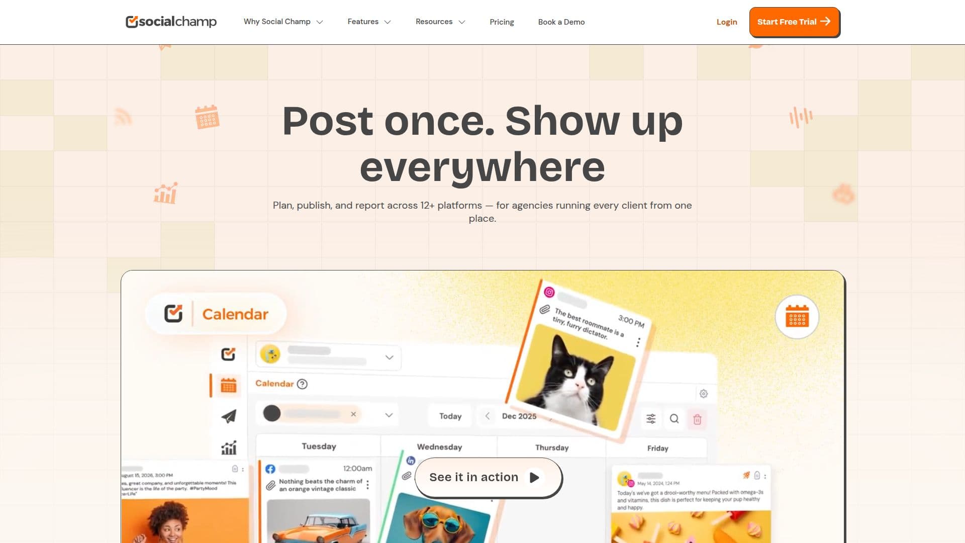 Social Champ screenshot