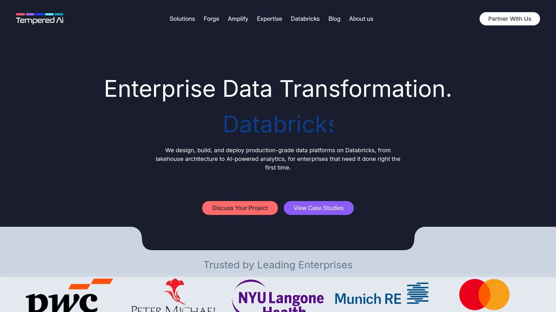 Temper AI Solutions screenshot