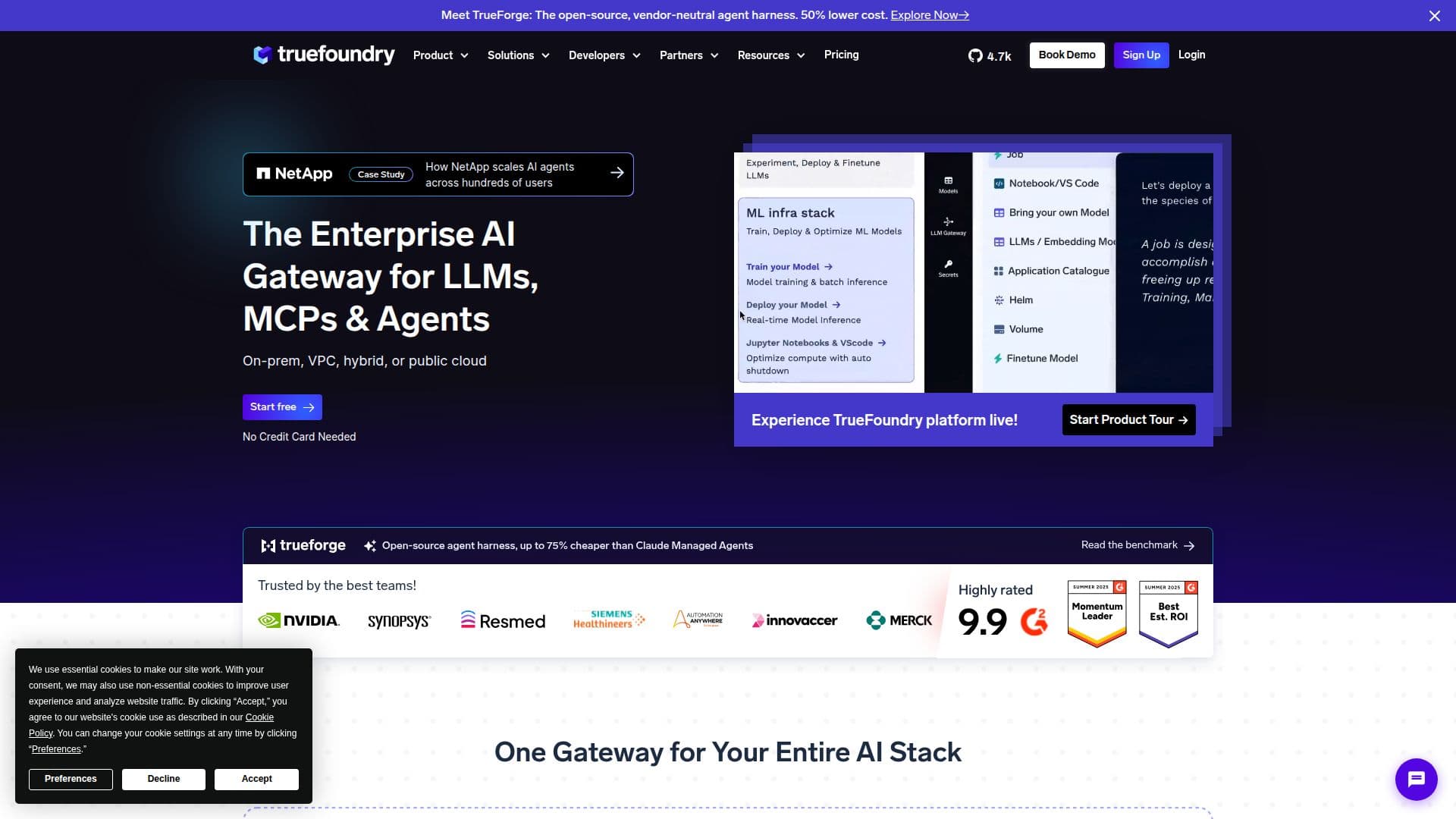 TrueFoundry - Enterprise AI Gateway & MCP Gateway screenshot