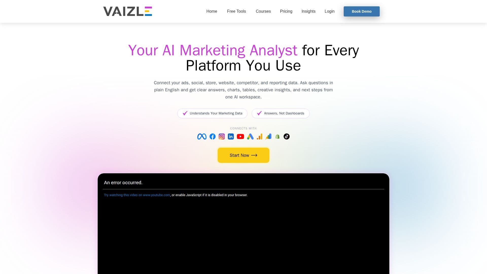 Vaizle AI Marketing Analyst screenshot