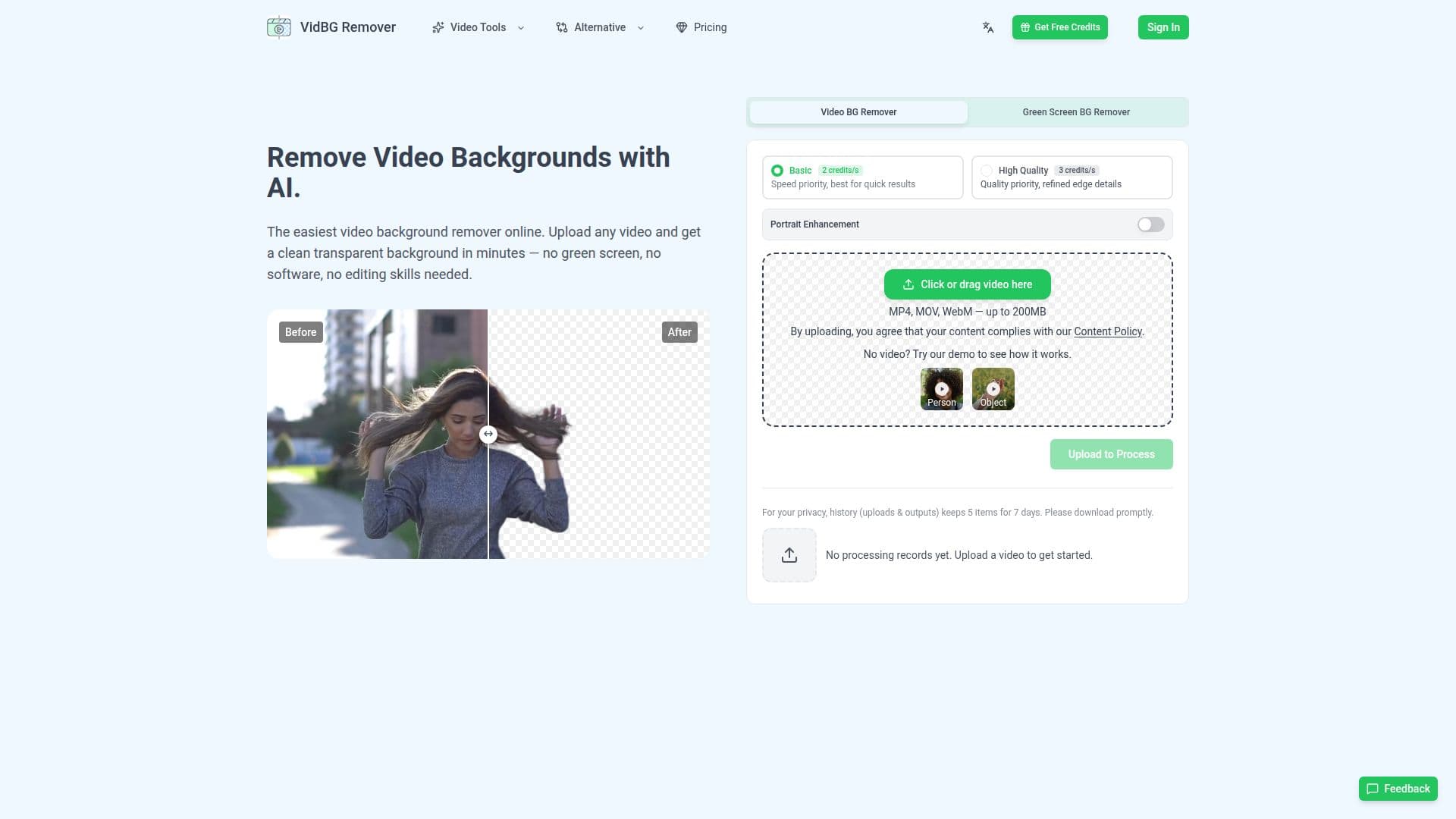 لقطة شاشة لـ VidBG Remover