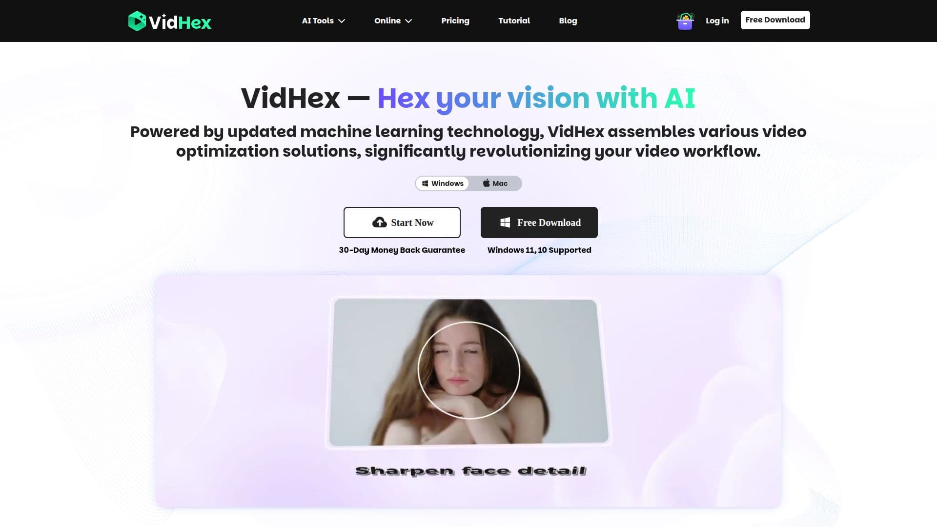 Capture d’écran de VidHex