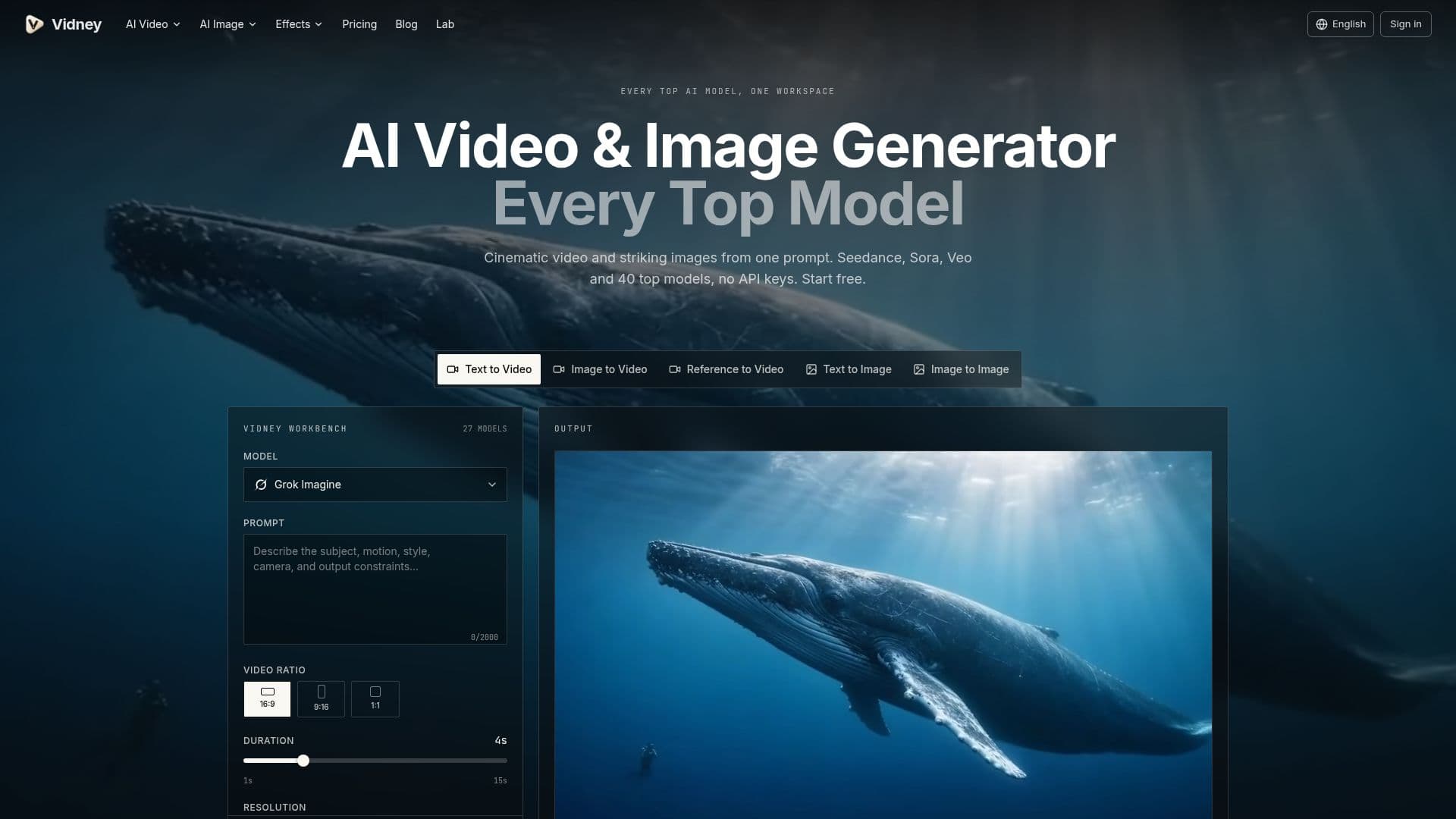 Vidney screenshot