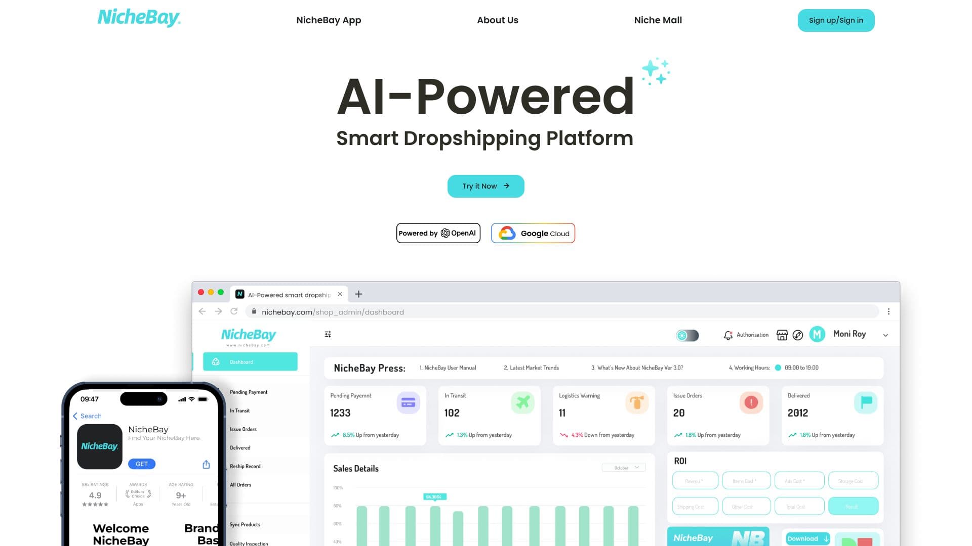 Screenshot von NicheBay AI Dropshipping