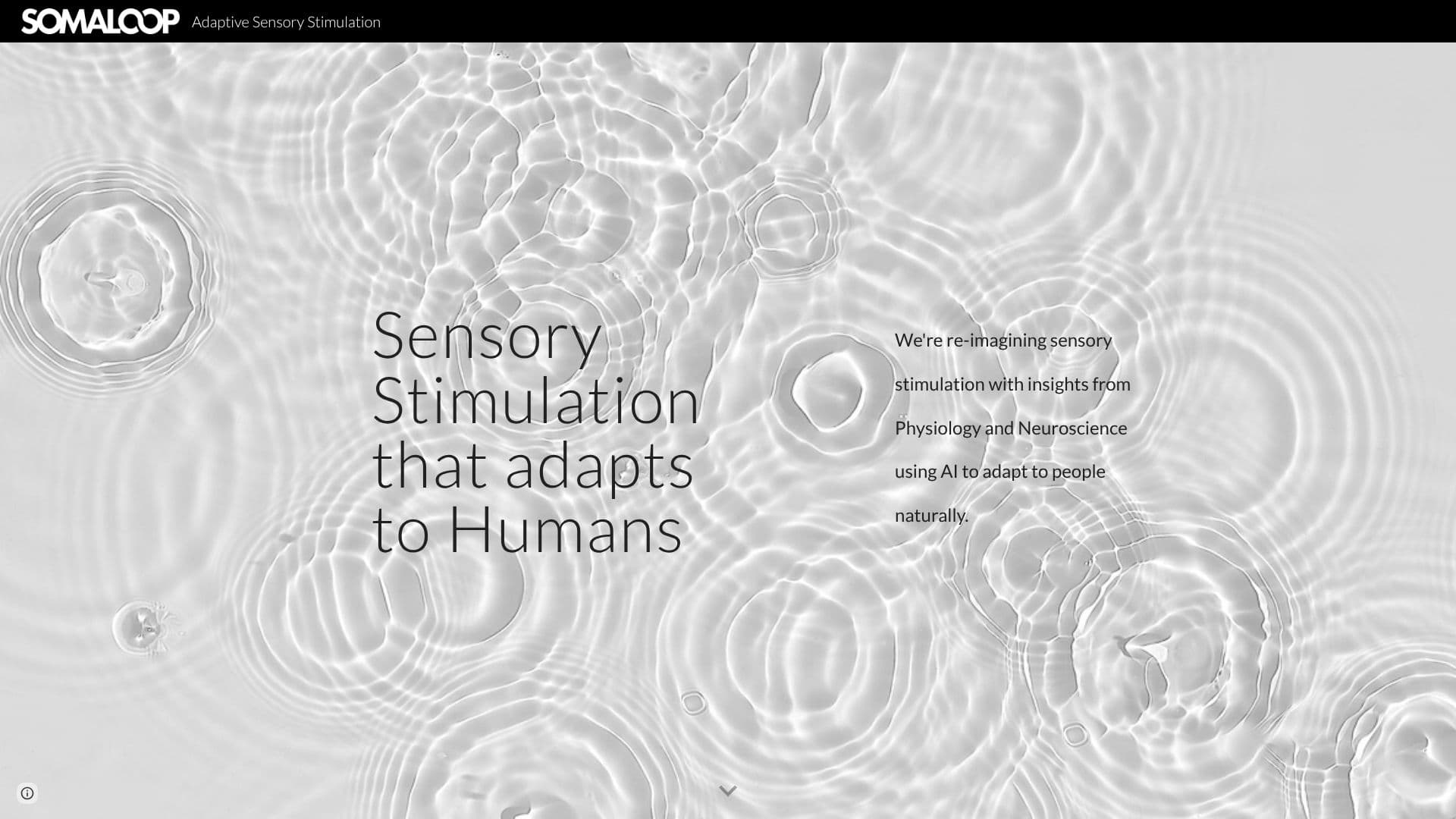Sensae screenshot