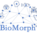 BioMorph Software logo
