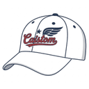 Caistom logo