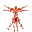Dr. Muscle logo