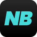 NicheBay AI Dropshipping logo