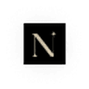 Nouva AI Stylist App logo