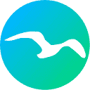 Paradiso Solutions: AI-First Learning Platform logo