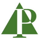 PineXL AI for Excel logo