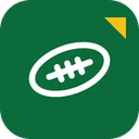 Playwrist logo
