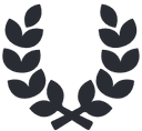 Design Arena logo
