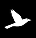 Smartbird AI Infrastructure logo