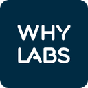 Whylogs Data Logging Library logo