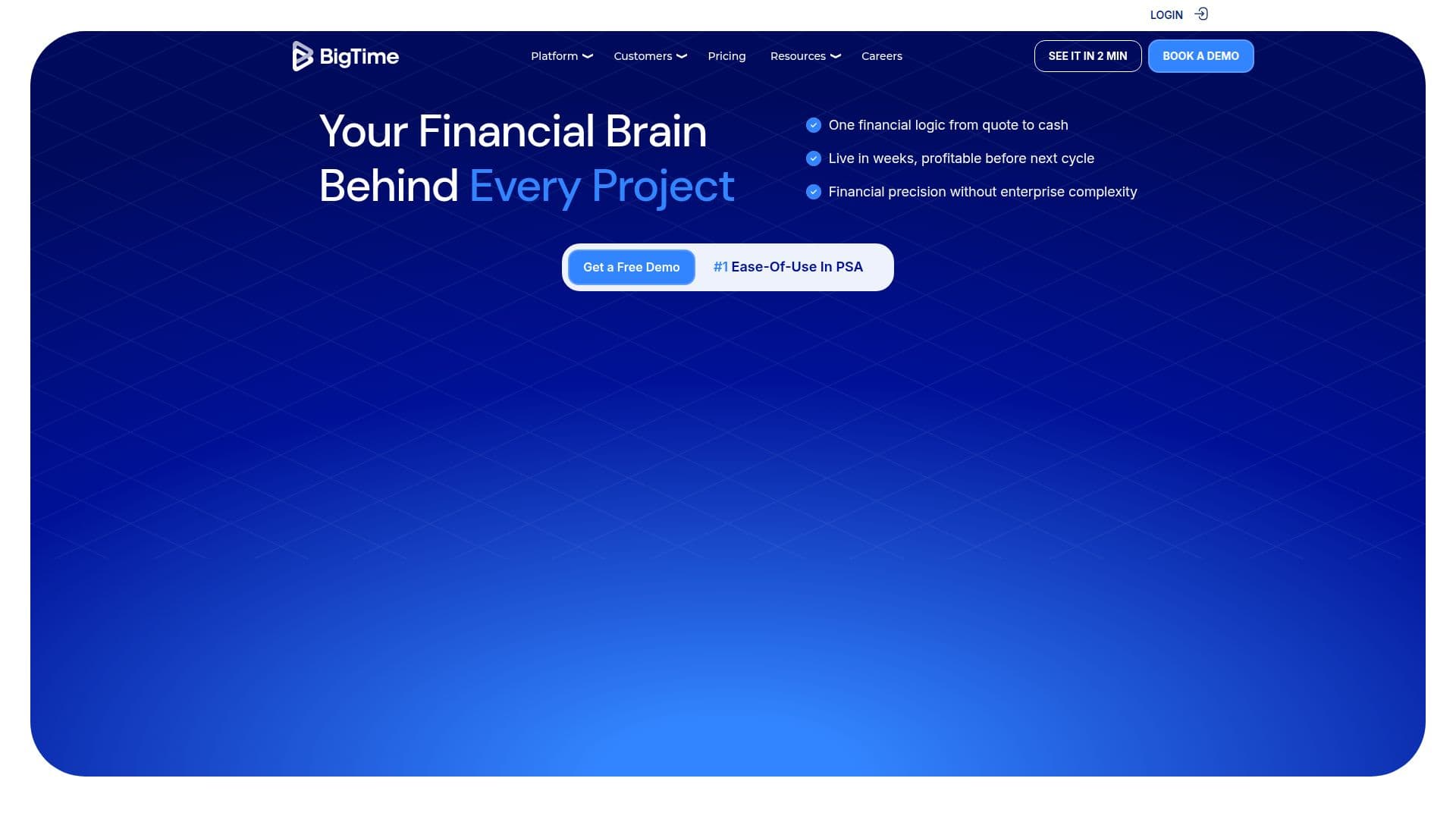 برنامج BigTime لخدمات المحترفين screenshot
