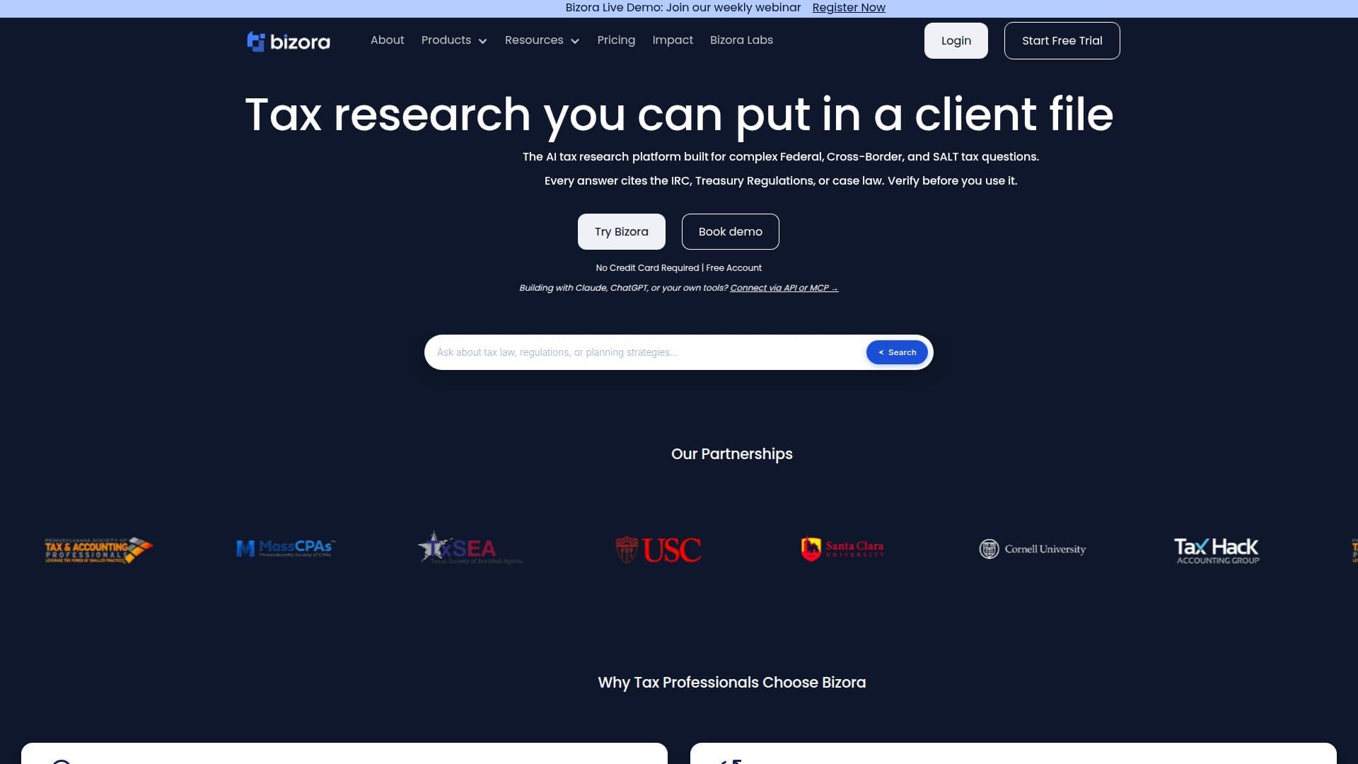 Bizora AI screenshot