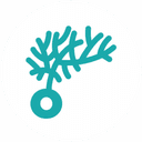Solução Dysolve AI para Dislexia logo